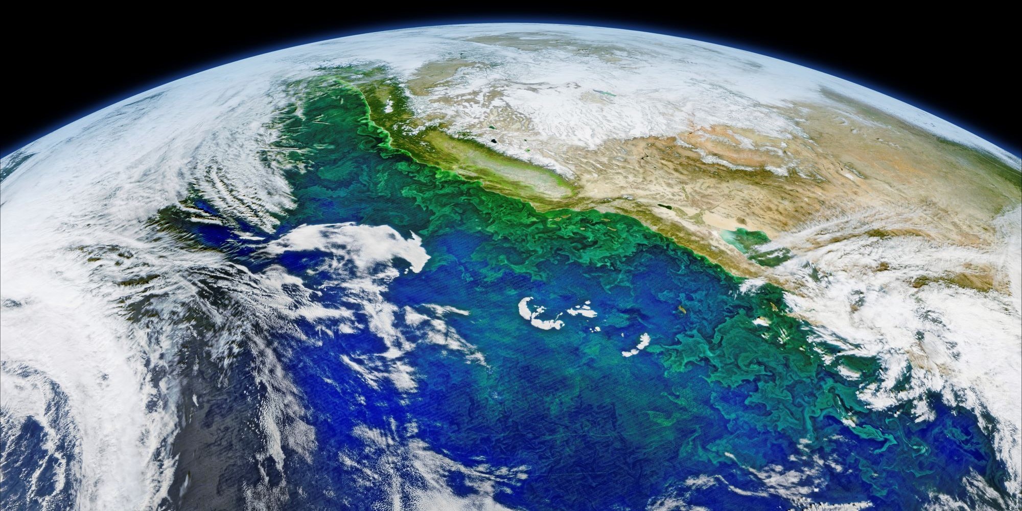 Plate Tectonics and Life - Globe