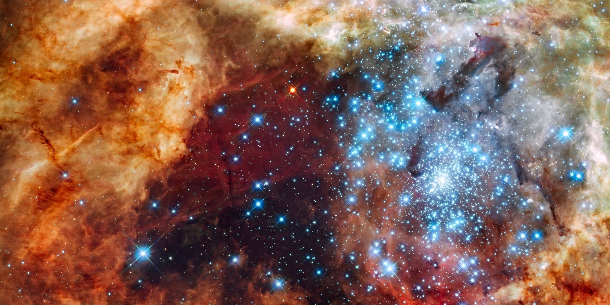 The Tarantula Nebula, massive star formation