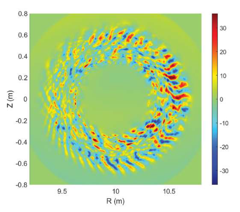 Electrostatic potential structures. These donut shaped structures showing plasma cross sections within a tokamak.